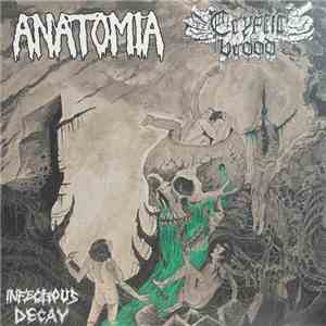Anatomia / Cryptic Brood - Infectious Decay download mp3 flac