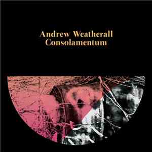 Andrew Weatherall - Consolamentum download free