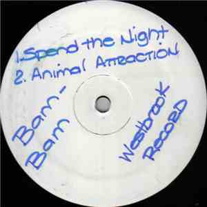Bam Bam - Spend The Night! download mp3 flac