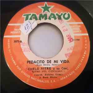Chelo Mitre Y Su Conj. - Sin Despedida / Pedacito De Mi Vida download free