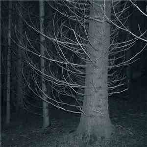 Cruciamentum - Luctus Infinite download free Cruciamentum - Luctus Infinite download mp3 flac