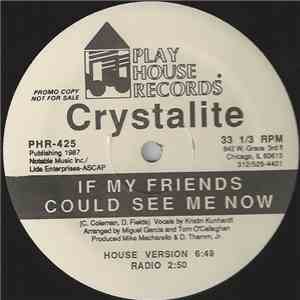 Crystalite - If My Friends Could See Me Now download mp3 flac
