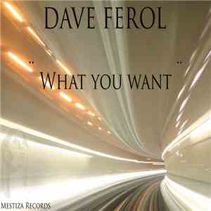 Dave Ferol - What You Want download mp3 flac