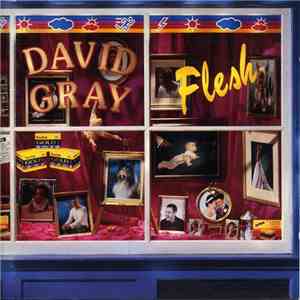 David Gray - Flesh download free David Gray - Flesh download mp3 flac
