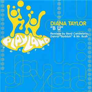 Diana Taylor - B U download mp3 flac
