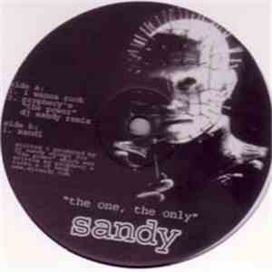 DJ Sandy - I Wanna Rock download free DJ Sandy - I Wanna Rock download mp3 flac