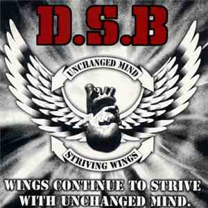 D.S.B - Wings Continue To Strive With Unchanged Mind download mp3 flac