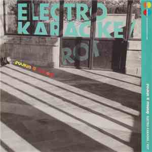 Fujiya & Miyagi - Electro Karaoke / Rot download mp3 flac