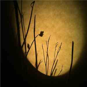 Gallery Six • Sound Awakener - Here Comes The Acoustic Season download mp3 flac