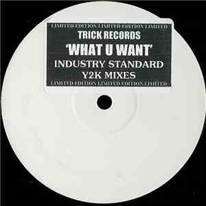 Industry Standard  - What U Want (Y2K Mixes) download free