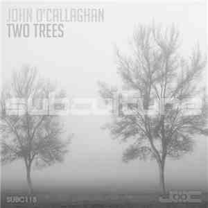 John O'Callaghan - Two Trees download mp3 flac