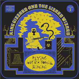 King Gizzard And The Lizard Wizard - Flying Microtonal Banana download free King Gizzard And The Lizard Wizard - Flying Microtonal Banana download mp3 flac