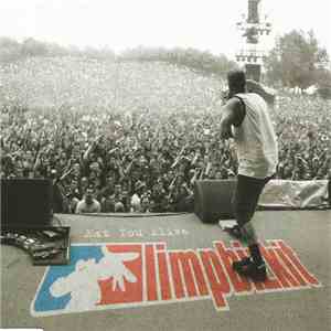 Limpbizkit - Eat You Alive download mp3 flac