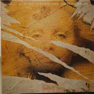 Martinů - Dartington Ensemble - Nonet • Trio • La Revue De Cuisine download mp3 flac