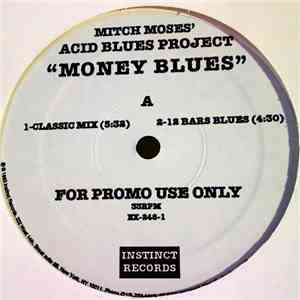 Mitch Moses' Acid Blues Project - Money Blues download mp3 flac