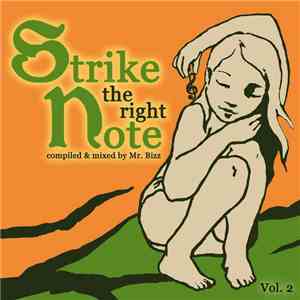Mr. Bizz - STRIKE THE RIGHT NOTE Vol.2 download free Mr. Bizz - STRIKE THE RIGHT NOTE Vol.2 download mp3 flac