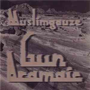 Muslimgauze - Gun Aramaic download free