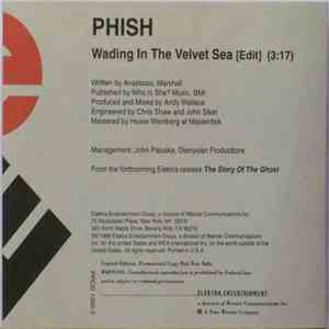 Phish - Wading In The Velvet Sea download mp3 flac