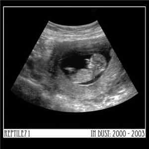 Reptile71 - In Dust: 2000 - 2003 download mp3 flac