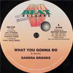 Sandra Brooks - What You Gonna Do download mp3 flac