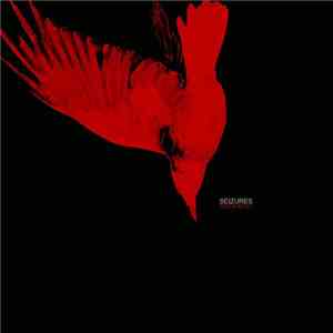 Seizures - Antipathy download free Seizures - Antipathy download mp3 flac