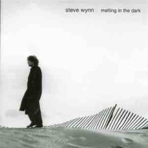 Steve Wynn - Melting In The Dark download free Steve Wynn - Melting In The Dark download mp3 flac