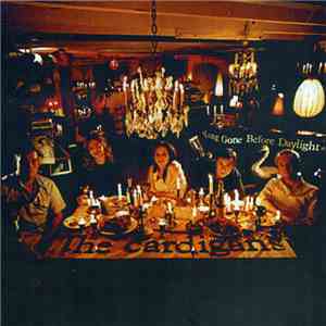 The Cardigans - Long Gone Before Daylight download mp3 flac