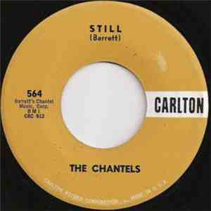 The Chantels with Sammy Lowe Orchestra - Still / Well, I Told You download mp3 flac