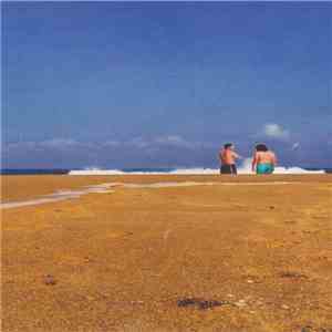 The Endless Bummer - Modern American Calypsos For Voice And Computer download free The Endless Bummer - Modern American Calypsos For Voice And Computer download mp3 flac