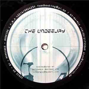 The Undeejay - Global Network download mp3 flac