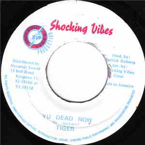 Tiger - Yu Dead Now download free Tiger - Yu Dead Now download mp3 flac
