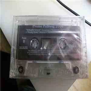 Various - Promo Polliwog 2000 download free Various - Promo Polliwog 2000 download mp3 flac