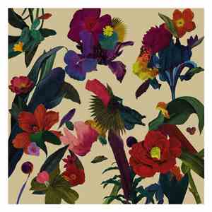 Washed Out - Paracosm download free